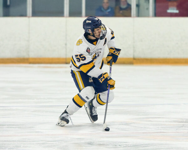 News from the Den
