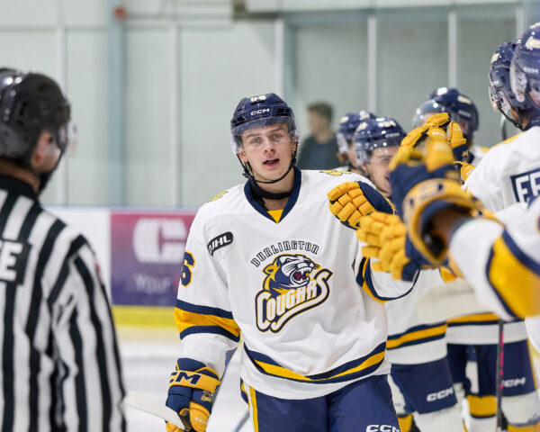 News from the Den