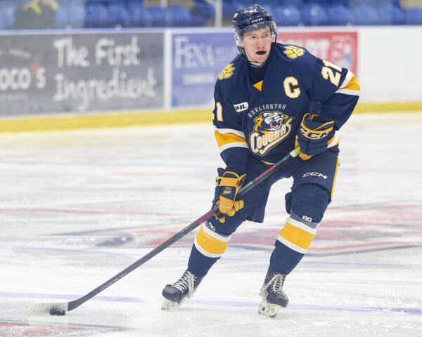 News from the Den