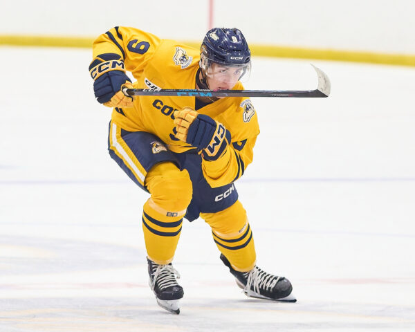 News from the Den